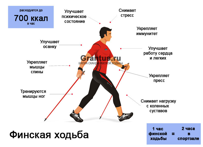 Скандинавская ходьба план тренировок